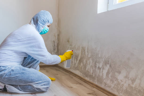 Hvac And Air Duct Mold Remediation inspection of HVAC system in Islip